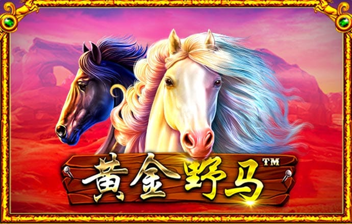 BD0038:COM-WWW:BD0038:COM